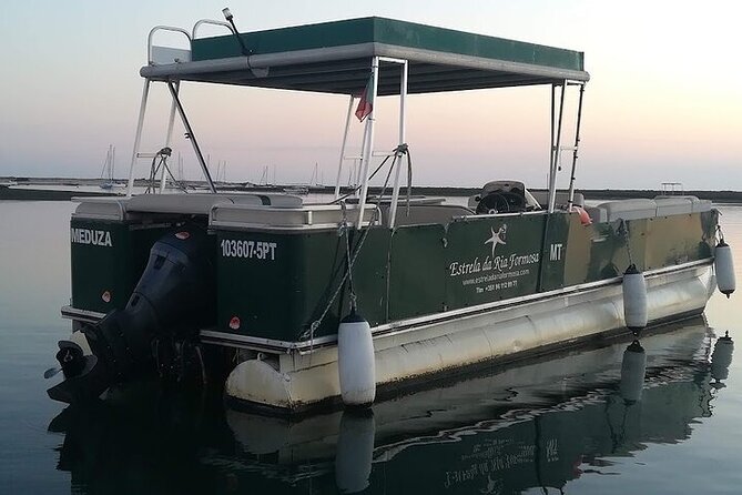 Sunset Tour | Ria Formosa - From Faro - Photo-friendly viewpoints without the crowd drama