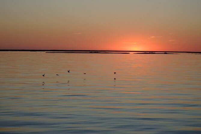 Sunset Tour | Ria Formosa - From Faro - Comfort checklist for a windy golden hour