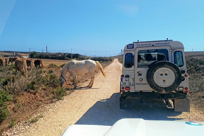 Super Day- Jeep Tour + Arade River Cruise - Key highlights at a glance