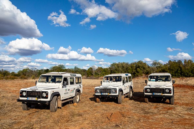 Super Day- Jeep Tour + Arade River Cruise - Guide Ricardo and the small group rhythm