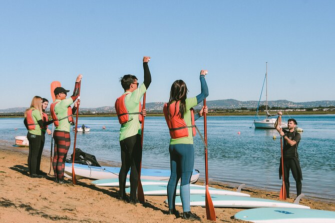 Surf & Sup - Oyster farm pause and bird spotting that feels genuinely local