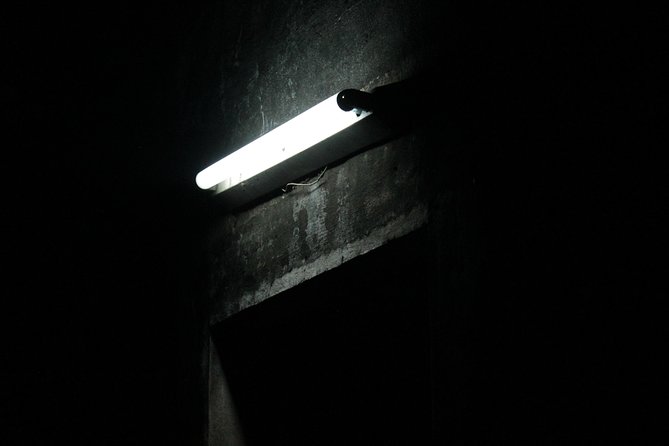 Survival Instinct Escape Game - Key things to know before you go