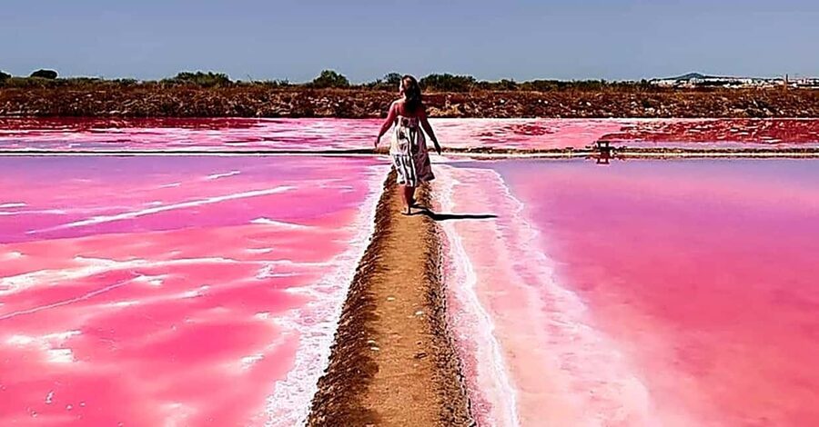 Tavira: 4x4 Jeep Adventure, Salt Pink Pans & Hidden Nature - Key highlights at a glance