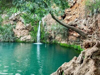 4×4 Jeep Adventure, Salt Pink Pans & Hidden Nature