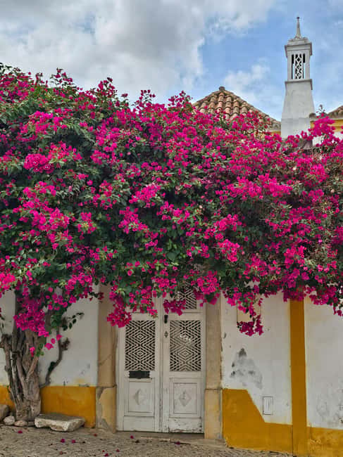 Tavira City & Chocolate - Through Military Barracks to the Historic Core