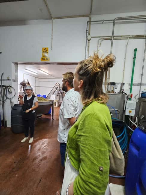 Tavira City & Olive Factory - Should you book Maria’s TukTuk for Tavira and olives?