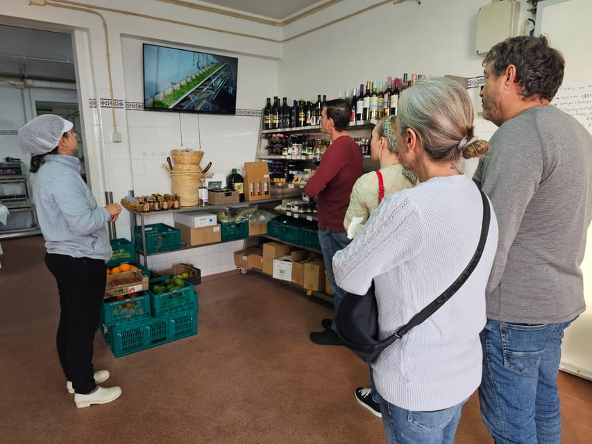 Tavira City & Olive Factory - Maria’s TukTuk guide style: clear explanations and check-ins