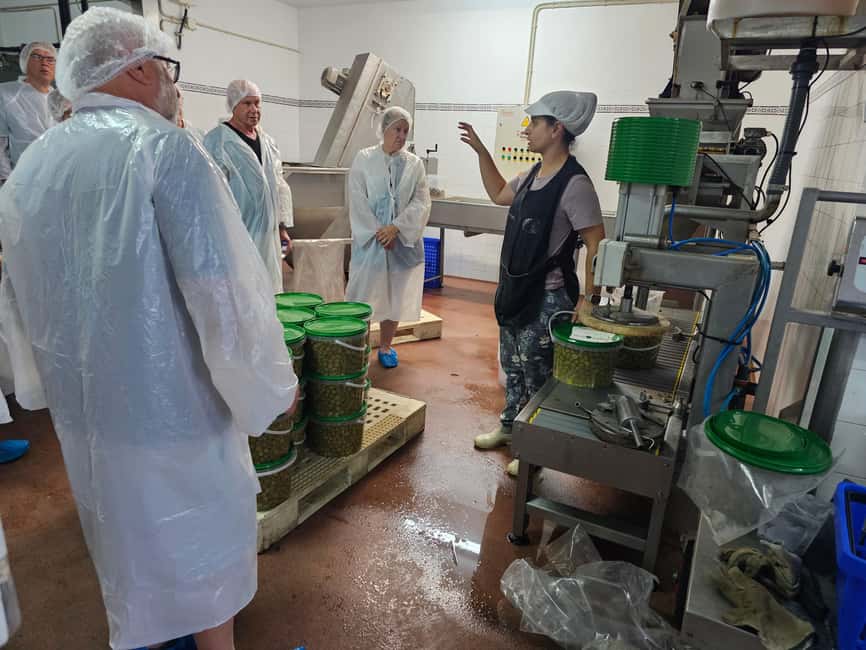 Tavira City & Olive Factory - Olive factory tour: how to get more from the tasting