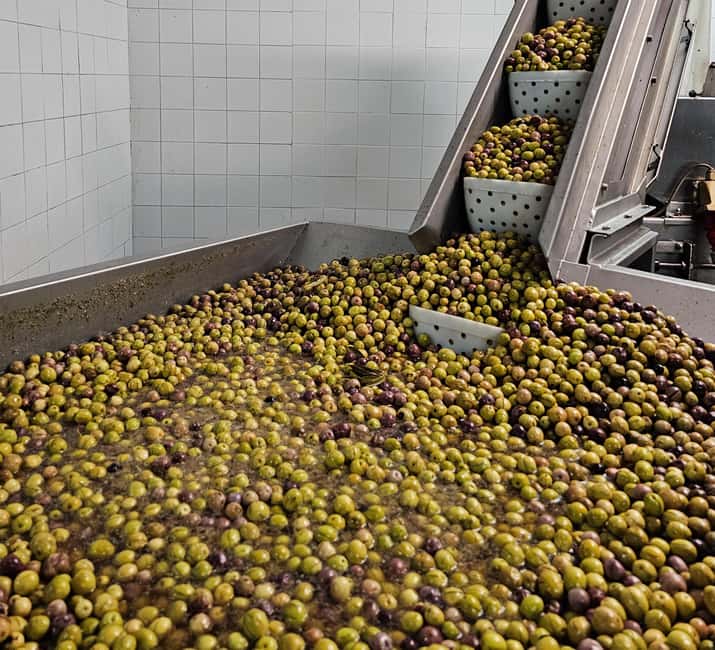 Tavira City & Olive Factory - Included value: what the $91 actually covers