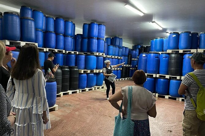 Tavira Olive Experience Factory Tour and Tasting - Your 4 pm Olive Factory visit: what the timing gets you