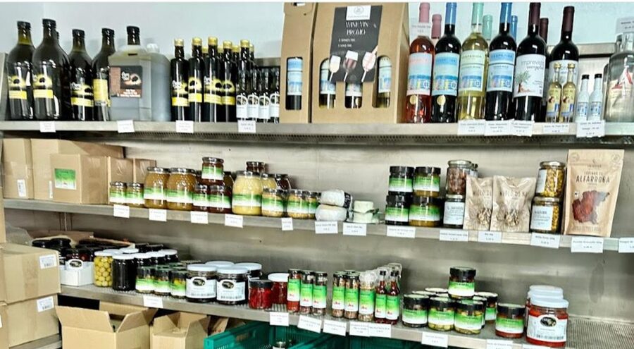 Tavira: Olive Factory Tour and Tasting - The tasting session: olives, oil, cheese, honey, marmalade, and wine