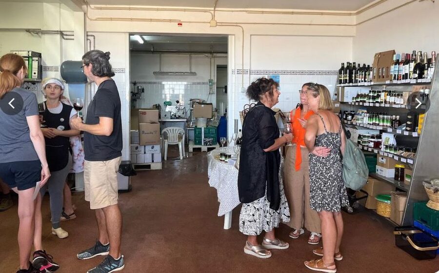 Tavira: Olive Factory Tour and Tasting - Shopping at the end: buy what you actually liked