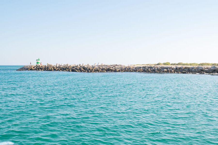 Tavira: Passeio Half Day - “Terra Estreita” Moments and Returning Near the Coast