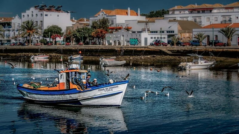 The Charming East: Loule, Faro, and Tavira Guided Day Trip - From your pickup point to Loulé’s market streets