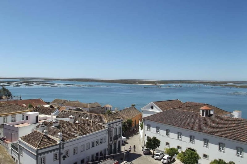The Charming East: Loule, Faro, and Tavira Guided Day Trip - Should you book this guided day trip?