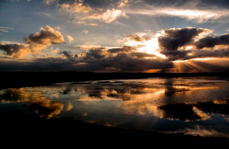 The Colors of Ria Formosa: Sunset Boat Trip in Faro - Key things you’ll notice before you go