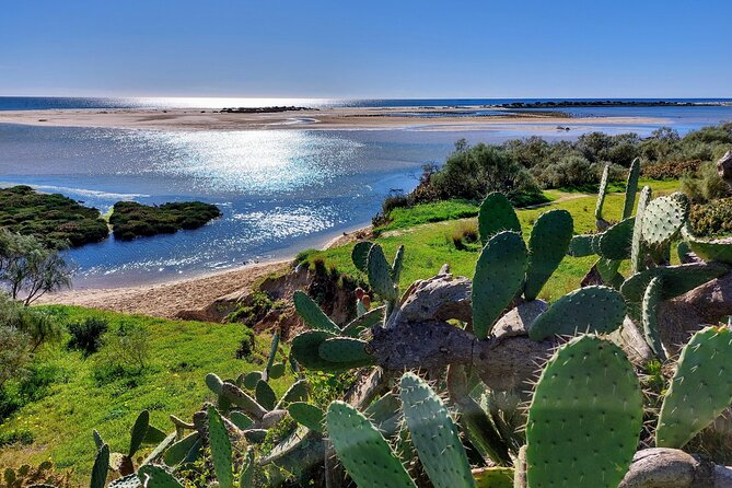 The Essential Algarve Relocation Tour! - Group discounts, but keep the private focus in mind
