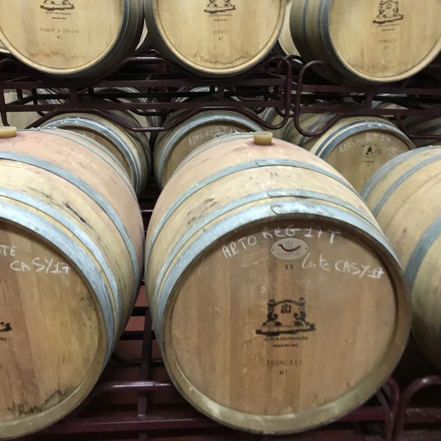 The Real Algarve: 2 Boutique Wineries & Silves Tour - The big win: six tastings that help you compare real choices