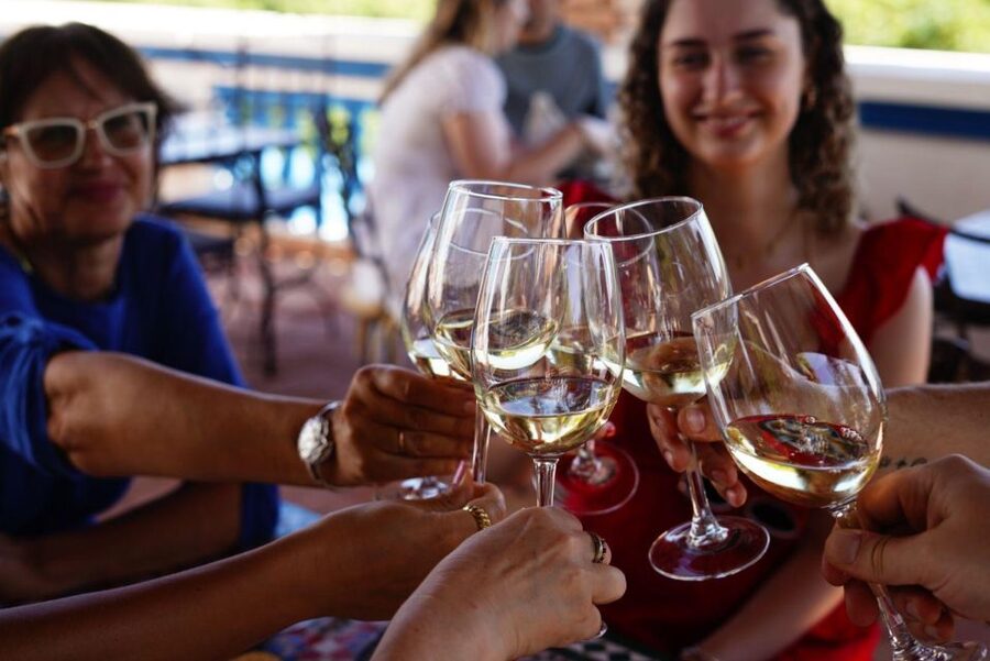 The Real Algarve: 2 Boutique Wineries & Silves Tour - Who should book this tour, and who might not