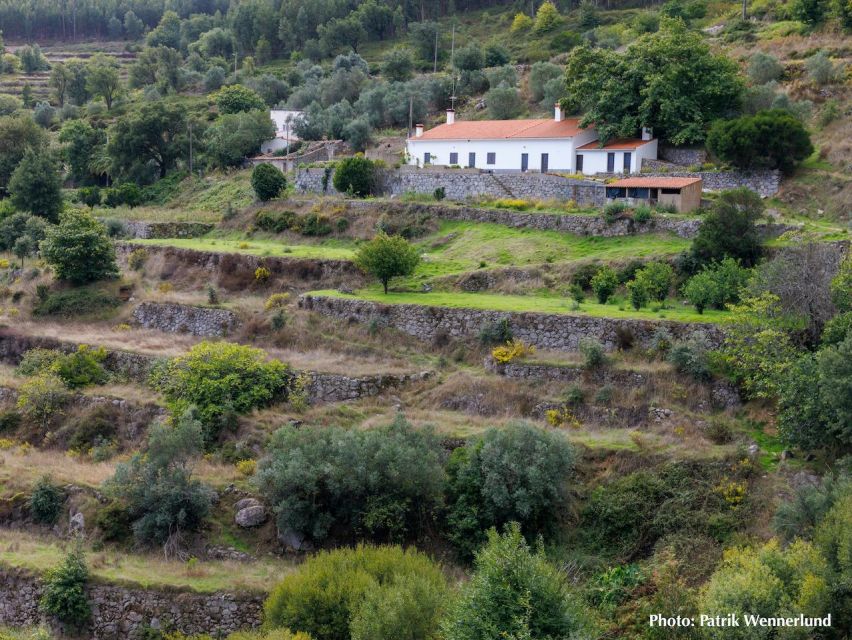 The western wild Algarve with a luxury picnic and extra Wow - Coastal viewpoints and secret stops: cliffs, waves, and beaches that refuse to repeat