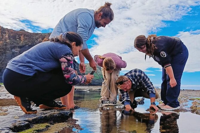 Tide Pool Safari in Monte Clérigo Beach - The One Stop Plan: 90 Minutes in the Costa Vicentina Reef Area