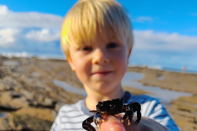Tide Pool Safari in Monte Clérigo Beach - Practical Tips for Your Morning by Monte Clérigo Beach