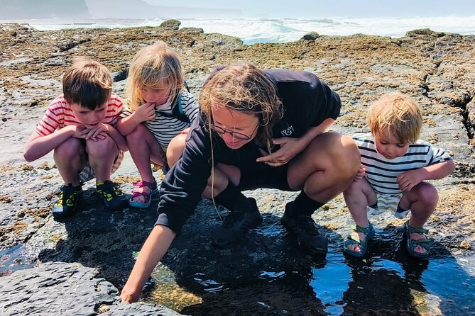 Tide Pool Safari in Monte Clérigo Beach - Should You Book the Rock&Reel Tide Pool Safari?
