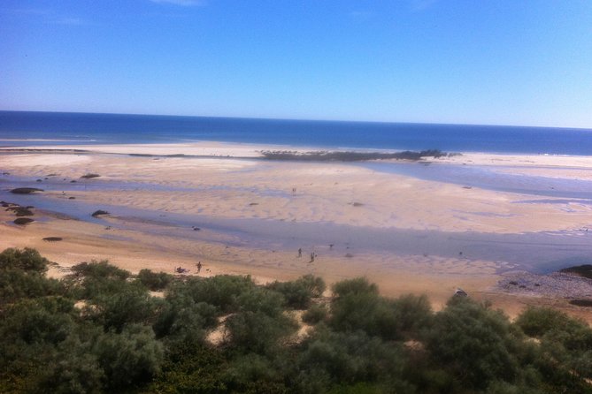 Tour in Paradise: Ria Formosa - The value check, is this worth your day?