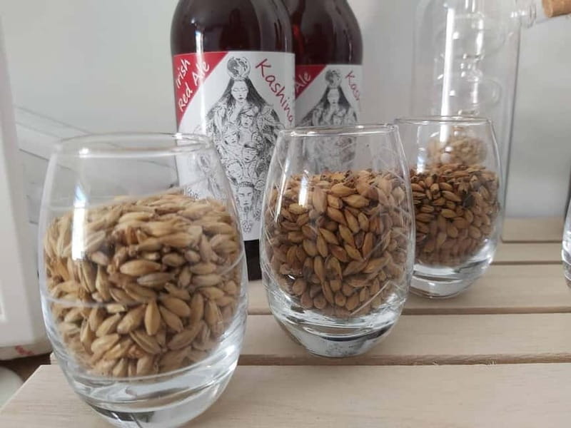 Tour of a craft brewery with tasting - Meet the brewer, not a script: what happens during the guided walk