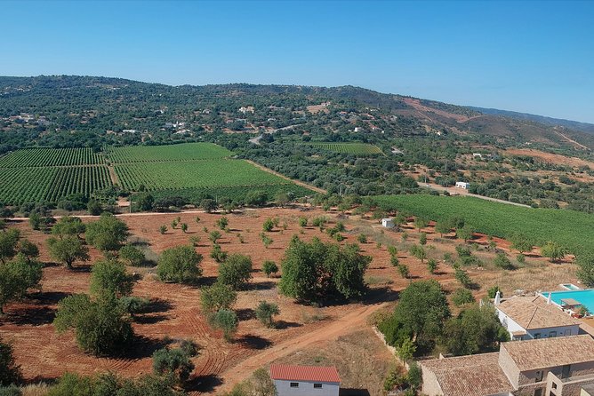 Tour & Wine tasting - Authentic Algarve Flavours by Quinta da Tôr - Quinta da Tôr in Loulé: hilltop wines with real Algarve calm