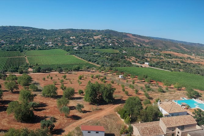 Tour & Wine tasting - Authentic Algarve Flavours by Quinta da Tôr - Getting there from Faro: practical timing and transport tips