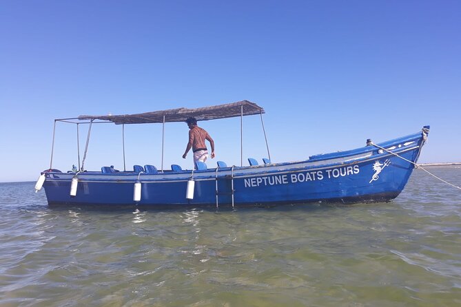 Tours in Traditional Boats - Olhão - Key highlights to know before you go