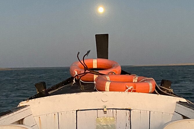 Tours in Traditional Boats - Olhão - Price and Value: Is $48.16 Worth It?