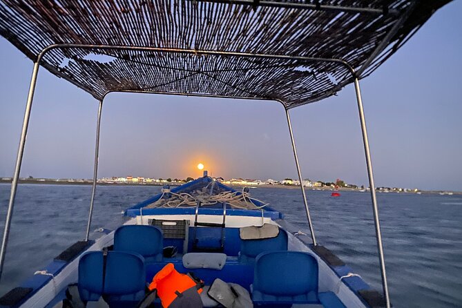 Tours in Traditional Boats - Olhão - What to Expect Onboard and On the Stops