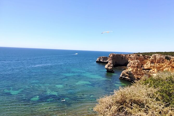 Transfer from Faro to Seville - The Human Touch: What I Noticed from the Reviews