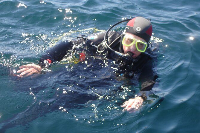 Try Dives - Discover Scuba Diving in Albufeira - Where the experience starts in Albufeira (and how to find it)