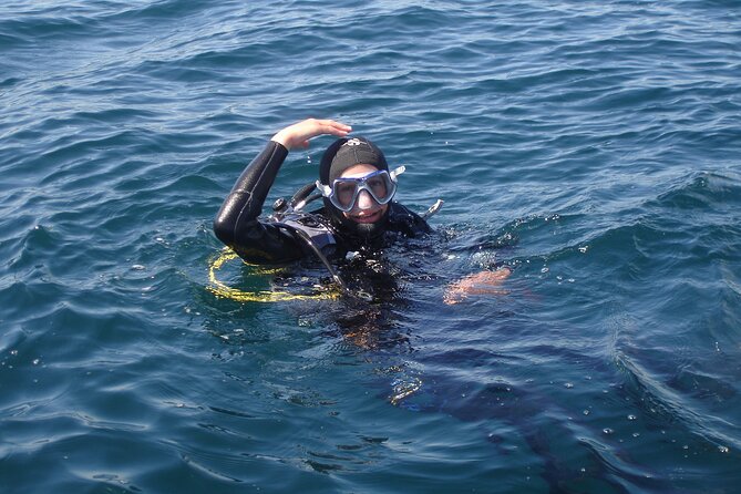 Try Dives - Discover Scuba Diving in Albufeira - The moment you get SSI certification, and why it’s valuable