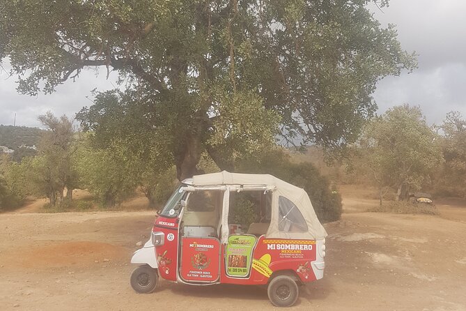Tuk tuk tour- the best way to see coast and country side - Weather and timing: plan for flexibility