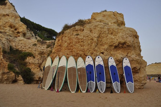 Unique Stand Up Paddle Experience! - What Makes the Instructor a Big Deal for Your Safety and Fun