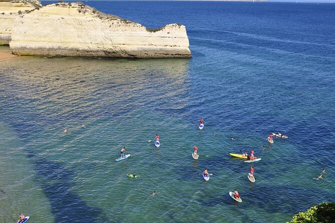 Unique Stand Up Paddle Experience! - Timing, Meeting Point, and Getting There Without Headaches