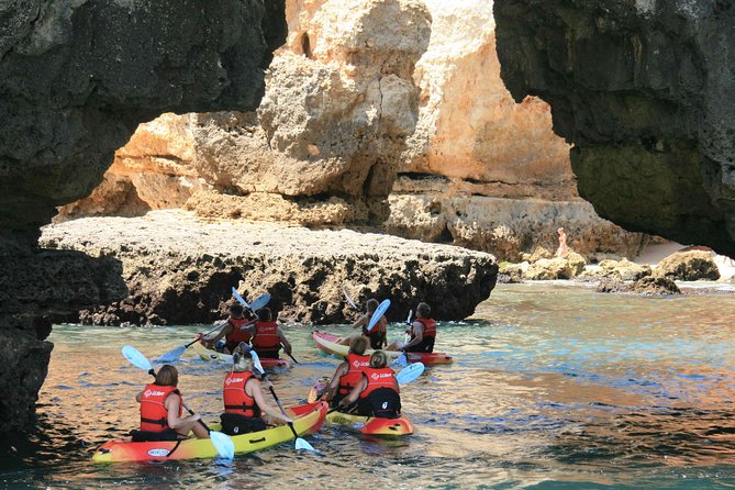 Unlock the Magic of Ponta da Piedade by Kayak – Lagos - Key things to know before you go