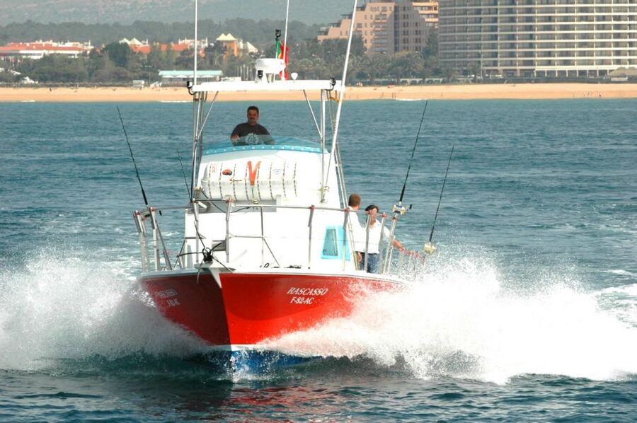 Vilamoura: Algarve Reef Fishing Boat Trip with Gear Included - Vilamoura Marina check-in: quick and straightforward