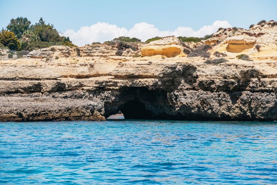 Vilamoura: Benagil Cave Boat Tour with Entry&Dolphin search - Price and value at $49 per person, what you’re really paying for