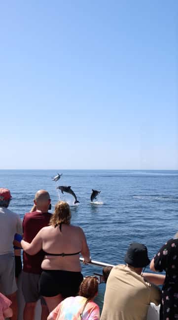 Vilamoura: Boat Tour Dolphin Quest & Marine Life Search - Onboard Comfort That Works for Real Families