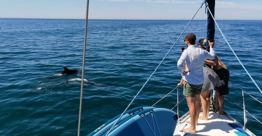 Vilamoura: Coastal Cruise on a Luxury Sailing Yacht - Quick hits before you go