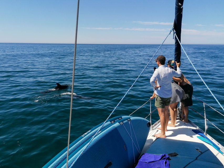 Vilamoura: Coastal Cruise on a Luxury Sailing Yacht - Vilamoura to Albufeira: the beaches you’ll spot along the way