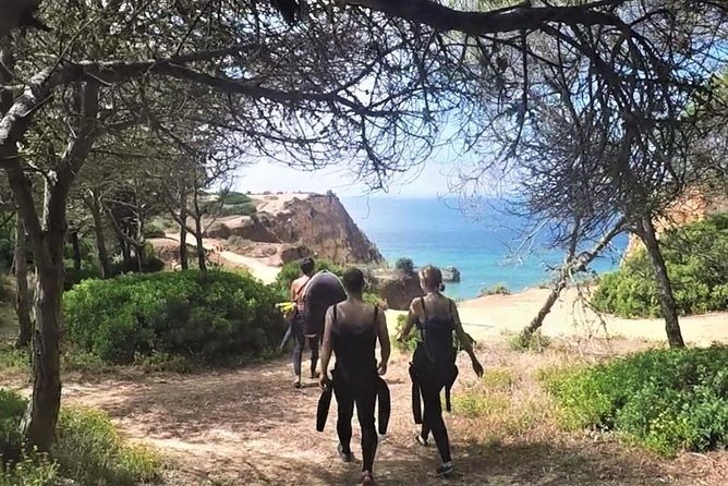 Visit Secret Caves, Hidden Beaches and Snorkel in Alvor, Portugal - Guides, Marine Biology Talk, and Real Local Power