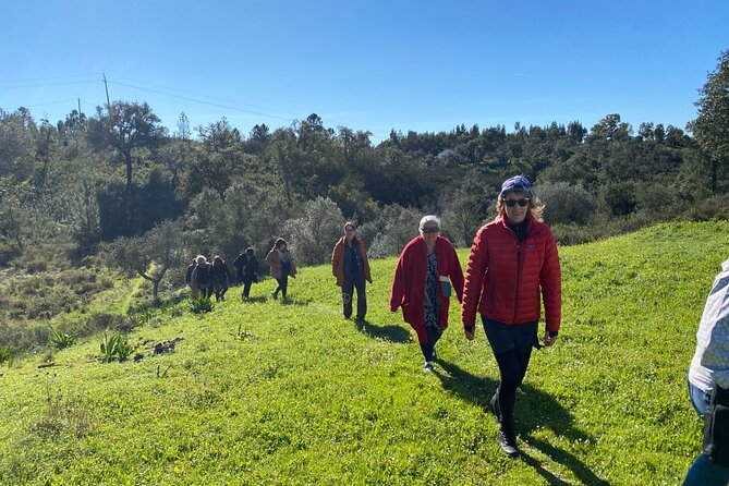 Walk in the Hills with Goat Herder-Local Honey, Wine and Cheese Tasting - Why the Family Farm Stories Make It Better