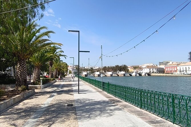 West Algarve Tour Visit Tavira Olhão Market and Ayamonte in Spain - Who should book this tour, and who might skip it