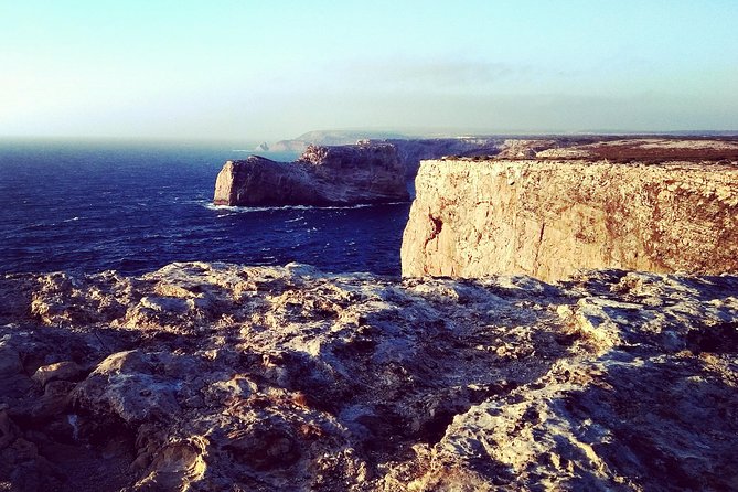 Wild and Wonderful West Coast Full Day Tour - Price and what you’re actually buying for about $107